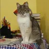 Отзыв от Антонина Шубина